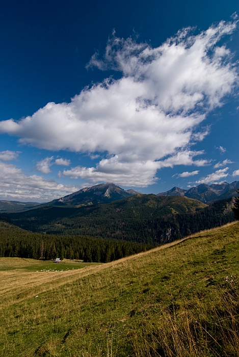 18_Tatry_w drodze na Gesia Szyje_widok na Tatry Bielskie i Wysokie.jpg